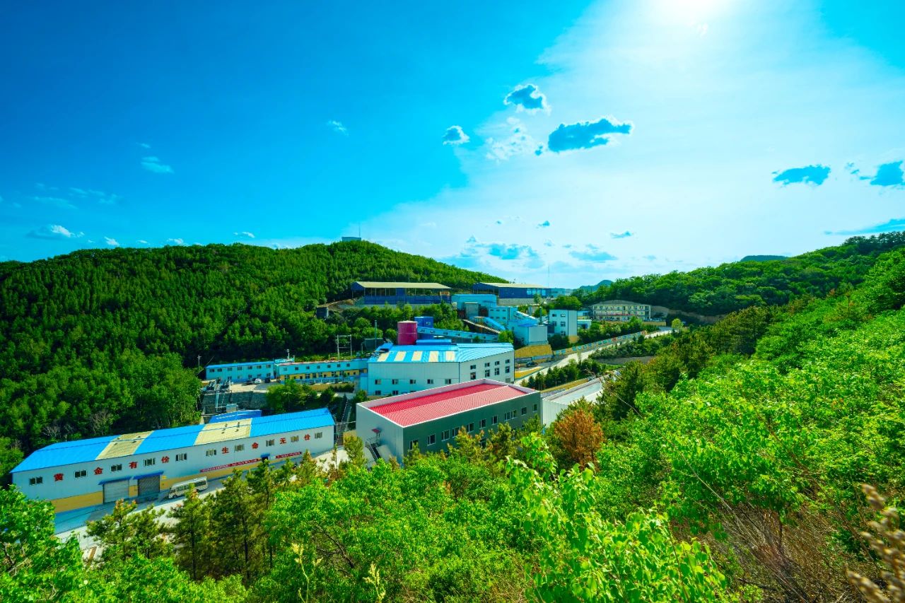 1739800389332031372.jpg 微信图片_20240805145046.jpg